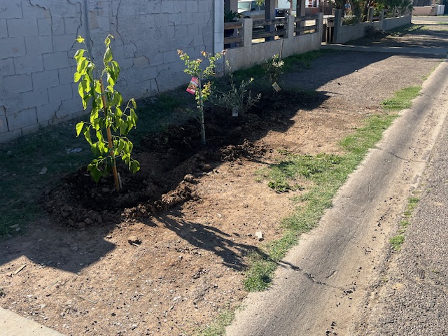 Food Forest ParkwayWay4 First Photo